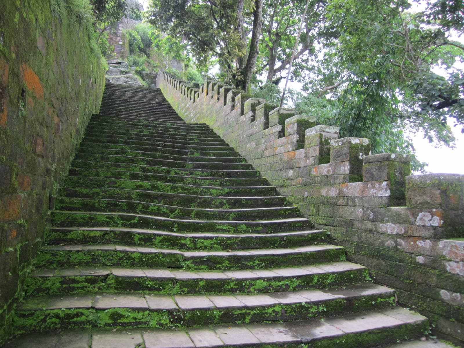 Tushita-Nepal — photograph 7