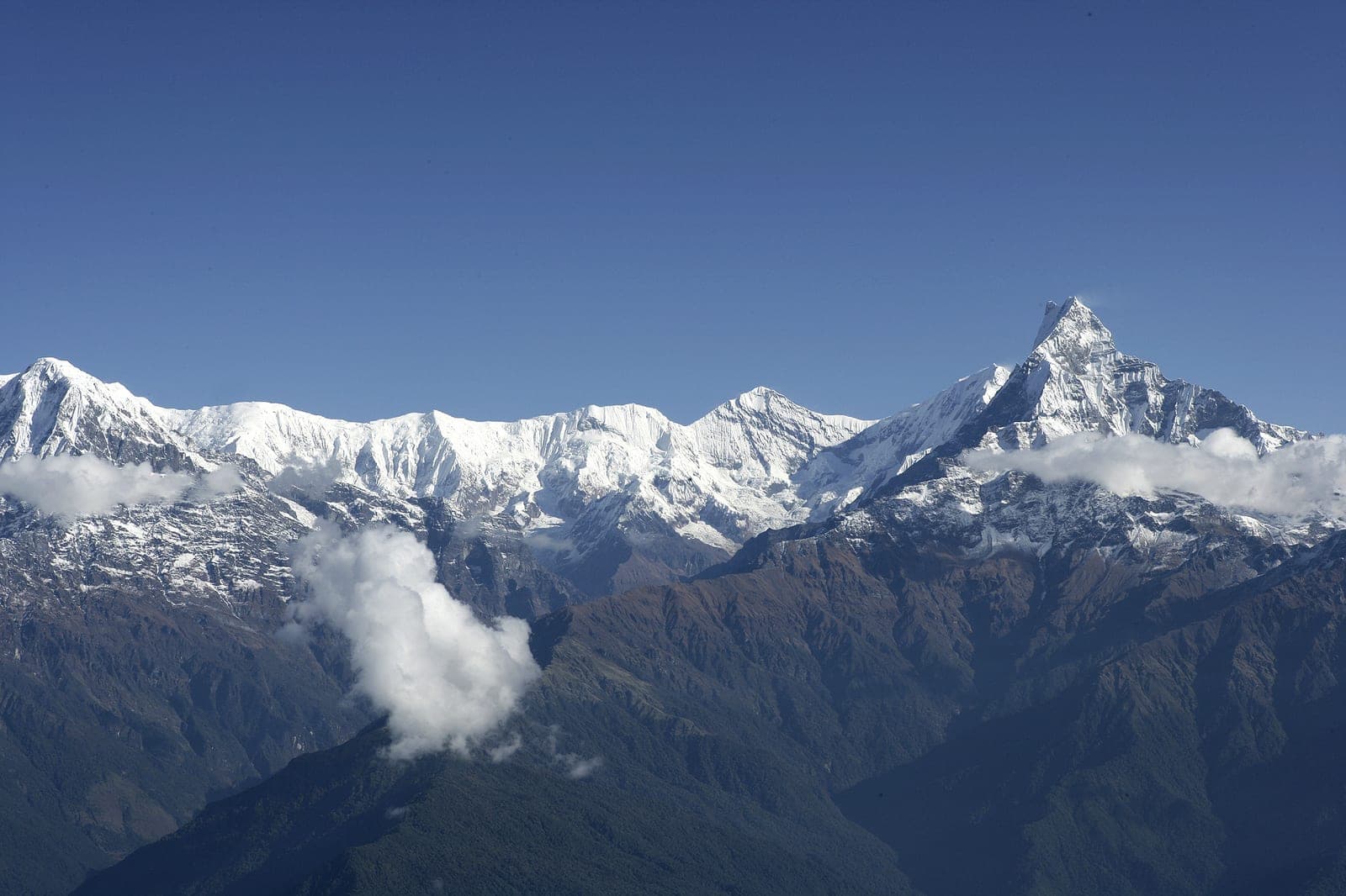 Machhapuchhre, the fishtail peak, seen from the ridge